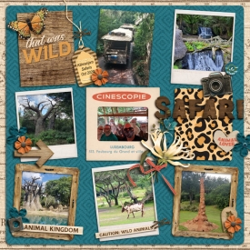 Kilimanjaro_Safaris_AK_Oct_2020_smaller.jpg