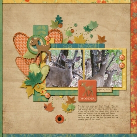 L-0430-Deer-Friends-Web.jpg
