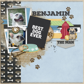 LJS_RainbowBridge_tnp_DADSTERDUDE_PD1_Barbara2_700.jpg