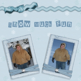 LaneSnow_copy.jpg