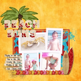 Layout_1_Small_rycara_beach_2008_copy.jpg