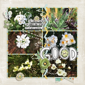 Life-is-Good-WEB1.jpg