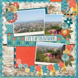 Life_is_better.jpg