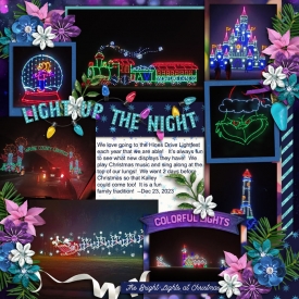 Light_Up_The_Night_Hines_Drive_Dec_23_2023_smaller.jpg