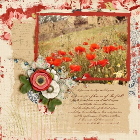 Like-wildflowers-700-245.jpg
