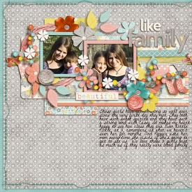 LikeFamilyWeb.jpg