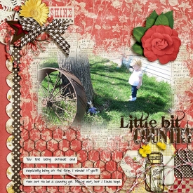Little-Bit-Country700.jpg