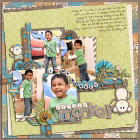 Little-monkey-copy1.jpg
