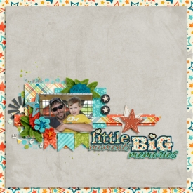 LittleMomentsBigMemories.jpg