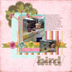 Little_Bird2.jpg