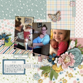 Little_Things_Jan_2019_smaller.jpg