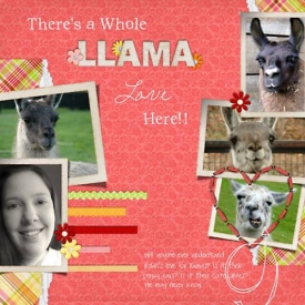 LlamaLove.jpg