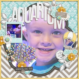 MC_aquarium_CT7.jpg