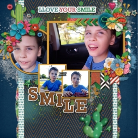 MF_PaintedPhotoClusters_cmg_llamallove700.jpg