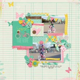 MT-FEB2015-Enjoy-the-Ride.jpg