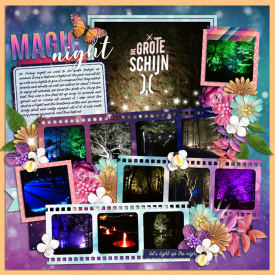 MagicNightweb.jpg