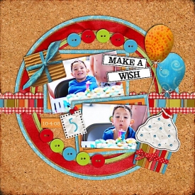 Make-a-Wish1.jpg