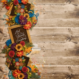 MatildaDesigns_digeasy1_1modifiedgobeauty-resized-for-web.jpg