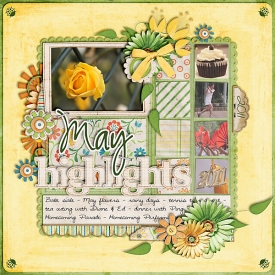 May-2011-Highlights-copy.jpg