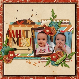 Mess-copy.jpg