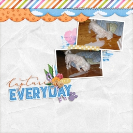 MilkDog_SSD.jpg