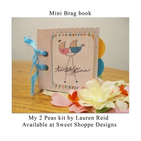 Mini-brag-book.jpg