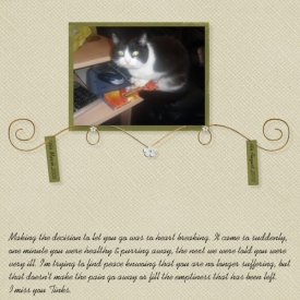 Miss_you_Tinks.jpeg