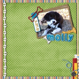 Molly-for-web.jpg