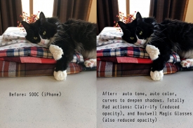 Mona-photo-edit.jpg