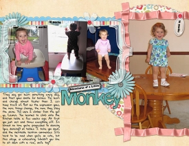 Monkey_rach3975.jpg