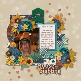 Moose-Sighting-web.jpg