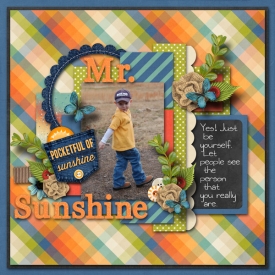 Mr_-Sunshine.jpg