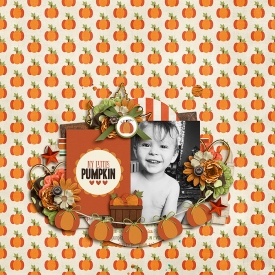 MyLittlePumpkin7001.jpg