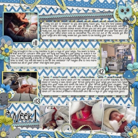NICUweek1right700.jpg