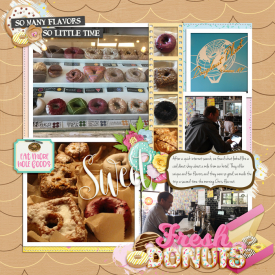 NY-700Donuts-2018-ljs-2020pf-sep-8.jpg