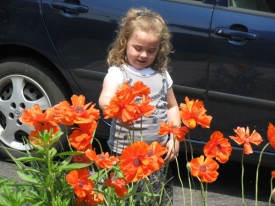 NatandPoppies.jpg