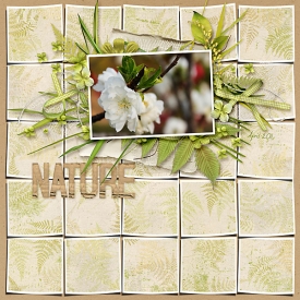 Nature-copy.jpg