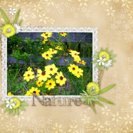 Nature21.jpg
