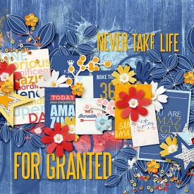 NeverTakeLifeForGranted700.jpg