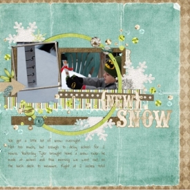New_Snow_copy.jpg