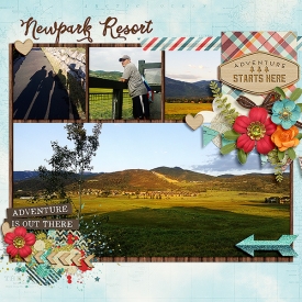 Newpark-Resort_web.jpg