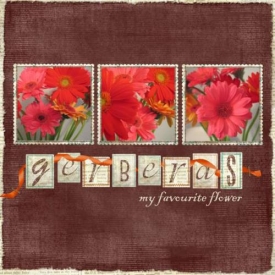 Nicole-Book-2-014-Gerberas-.jpg