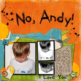 No-Andy-web.jpg
