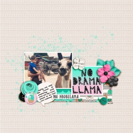 No-Probllama-small.jpg