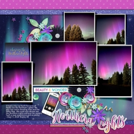 Northern_Lights_Boyne_MI_Aug_2024_smaller.jpg