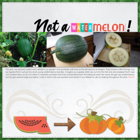 Not-a-Watermelon-small.jpg
