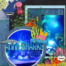 Ocean-aquarium-3-2024.jpg