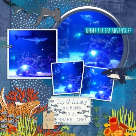 Ocean-aquarium-4-2024.jpg