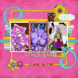 Orchids_Custom_.jpg