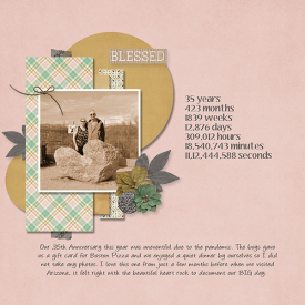 Our_35th_Anniversary-001_copy.jpg